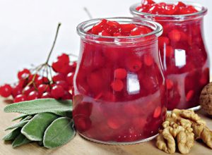 Калина_саржента