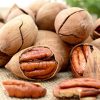 Орех Пекан, Pecan, Carya illinoinensis