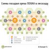Орех Пекан - схема посадки