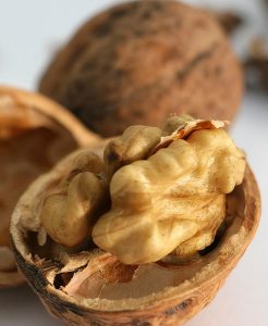 Juglans regia, Грецкий орех, сорт Песчанский