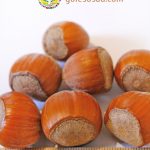 Фундук, сорт Трапезунд, семена, hazelnut