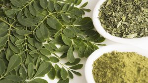 Моринга, Moringa