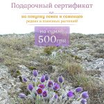 Подарочный сертификат, Лесосад