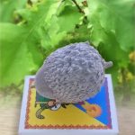 Дуб крупноплодный, желуди,Quercus macrocarpa