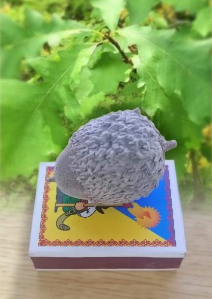 Дуб крупноплодный, желуди,Quercus macrocarpa