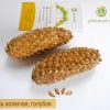 Ель колючая голубая, Picea-pungens, семена, лесосад