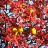 Псевдоцидония, Pseudocydonia-sinensis, семена, лесосад