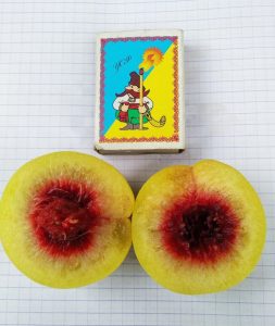 Персик Хасанский, ранний